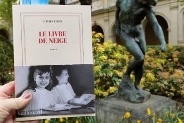 le livre de neige